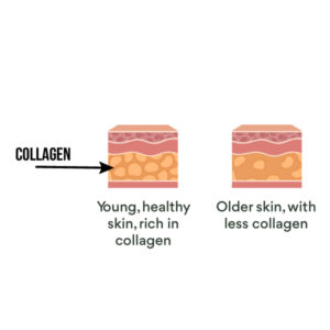 collagen for young, healthy skin, rich in collagen