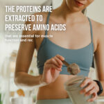 Organic protein powder VEGAN PROTEIN - Image 6